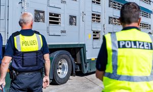 Polacy zatrzymani przez niemiecką policję. Straty to 335 tys. euro