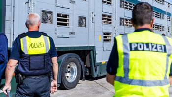 Polacy zatrzymani przez niemiecką policję. Straty to 335 tys. euro