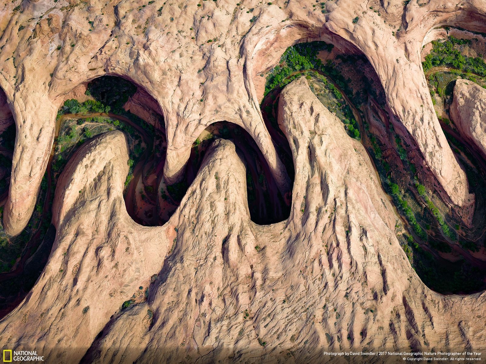 Poznaj najnowsze zgłoszone zdjęcia w konkursie Nat Geo Nature Photographer of the Year 2017 14