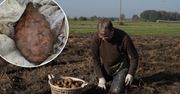 Rolnik myślał, że wykopał dużego ziemniaka. Po chwili zaczął wzywać pomoc
