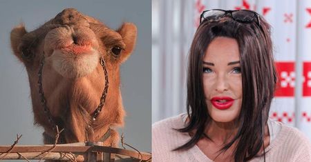 Minge o "modelkach" z Dubaju: "Niech chodzą z odsłoniętą twarzą! TAKI WYBRAŁY ZAWÓD"