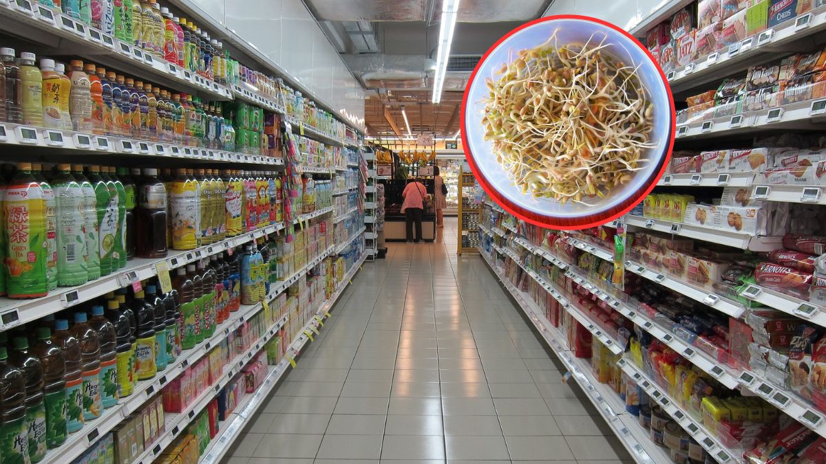 GIS wykrył bakterie Listeria monocytogenes w kiełkach brokułu i rzodkiewki