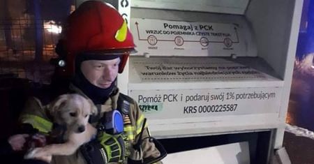Wrzuciła psa do kontenera. Strażacy bohaterami