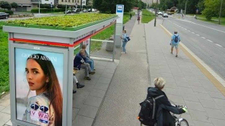 Warszawa. Zielone dachy wiat przystankowych to same korzyści: to nie tylko sympatyczniejszy widok z okien budynków przy komunikacyjnych arteriach, ale więcej powietrza dla miasta i kolejna ostoja owadów (Urząd Miasta st. Warszawa)