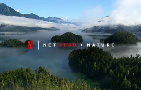 Netflix do końca 2022 r. chce stać się zeroemisyjny. „Godzina oglądania filmów to 100 g CO2”