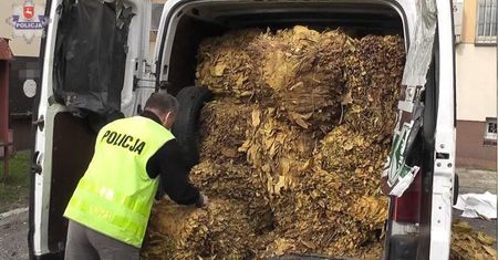 Przewoził busem prawie 700 kg nielegalnego tytoniu