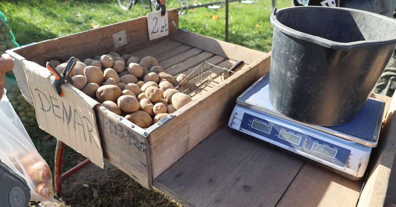 "Kroplówka" nie wystarczy. Rolnicy chcą systemowych rozwiązań na już