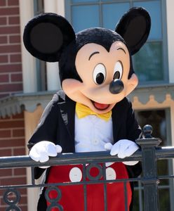 Disney straci prawa do Myszki Miki? Zaskakujące wieści
