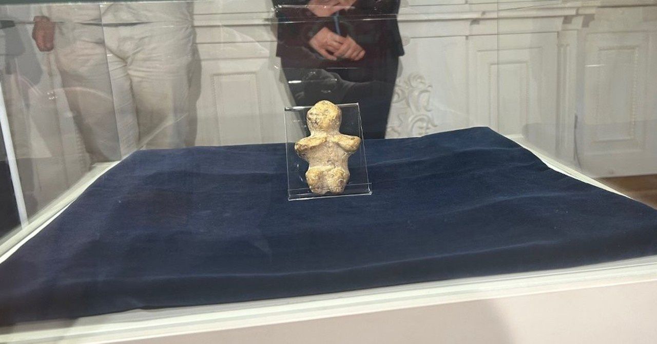 Kołobrzeska Wenus z okresu neolitu udostępniona zwiedzającym