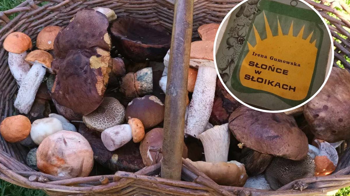 Ostatnie zbiory przerabiam na grzybki marynowane