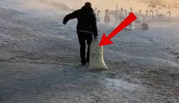 Trzymał wielki wór. I ruszył na zamarzniętą Narew. Jest nagranie