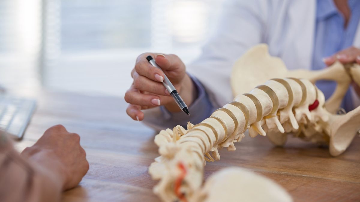 Kręg lędźwiowy to element części kręgosłupa zlokalizowanego pomiędzy żebrami a miednicą.