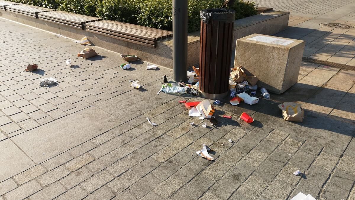 Kruk wyrzucający śmieci z kosza na placu Litewskim
