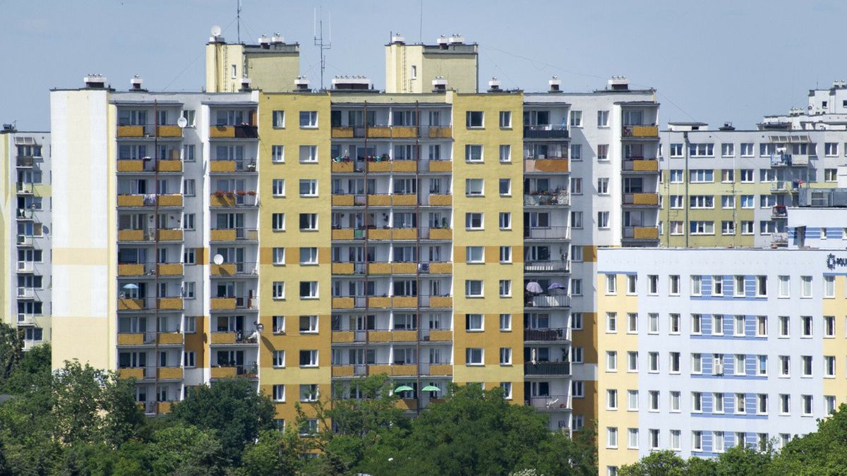 Najwięcej eksmisji wykonano m.in. w Bydgoszczy i Toruniu