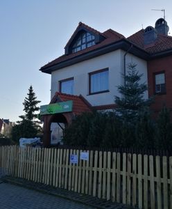 Przy Żabce wyrósł "płotowy labirynt". Bo obok przedszkole. Ale w okolicy jest więcej niespodzianek