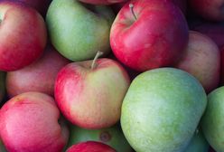 Cała prawda o jabłkach, czyli po co powstają nowe odmiany