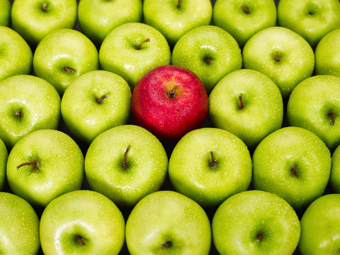 red apple standing out from large group of green apples. 