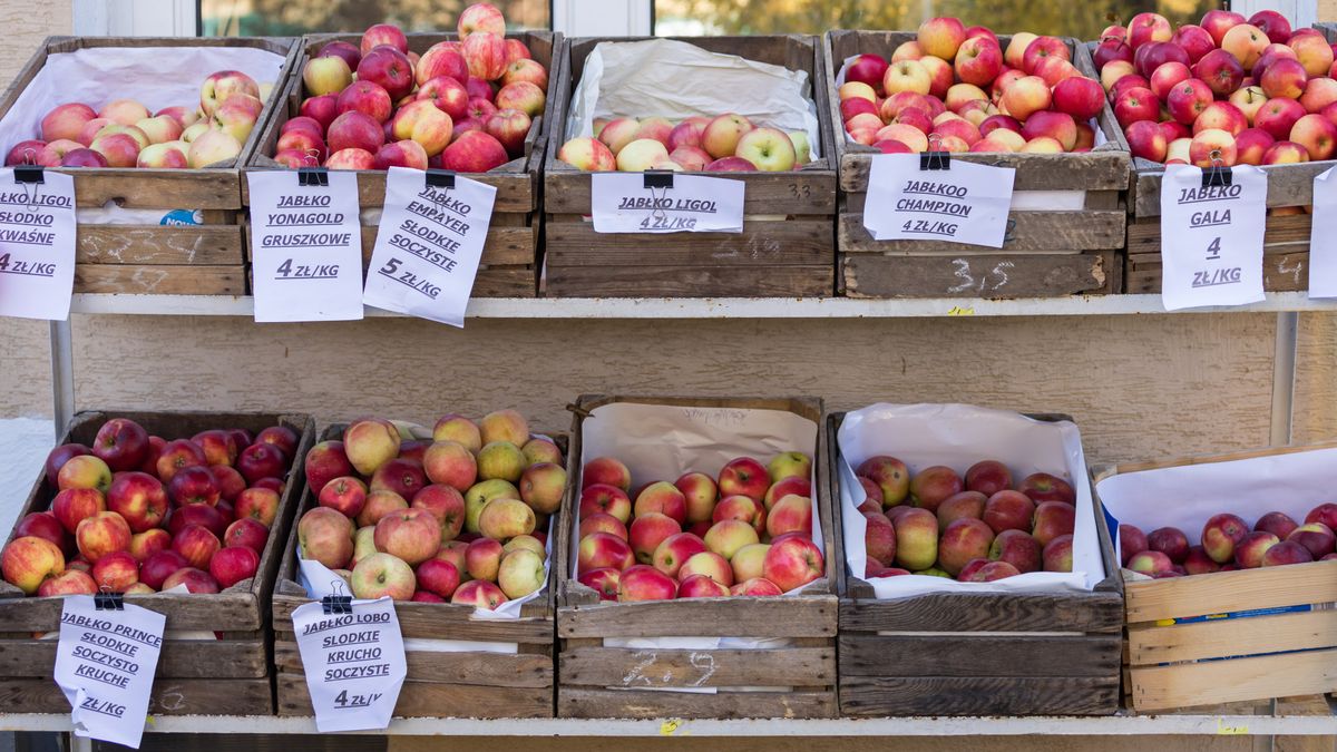 Polska jest największym producentem jabłek w Europie. Czas na Kolumbię?