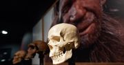 Nowe znalezisko archeologów. Wykryto ślady obecności neandertalczyków