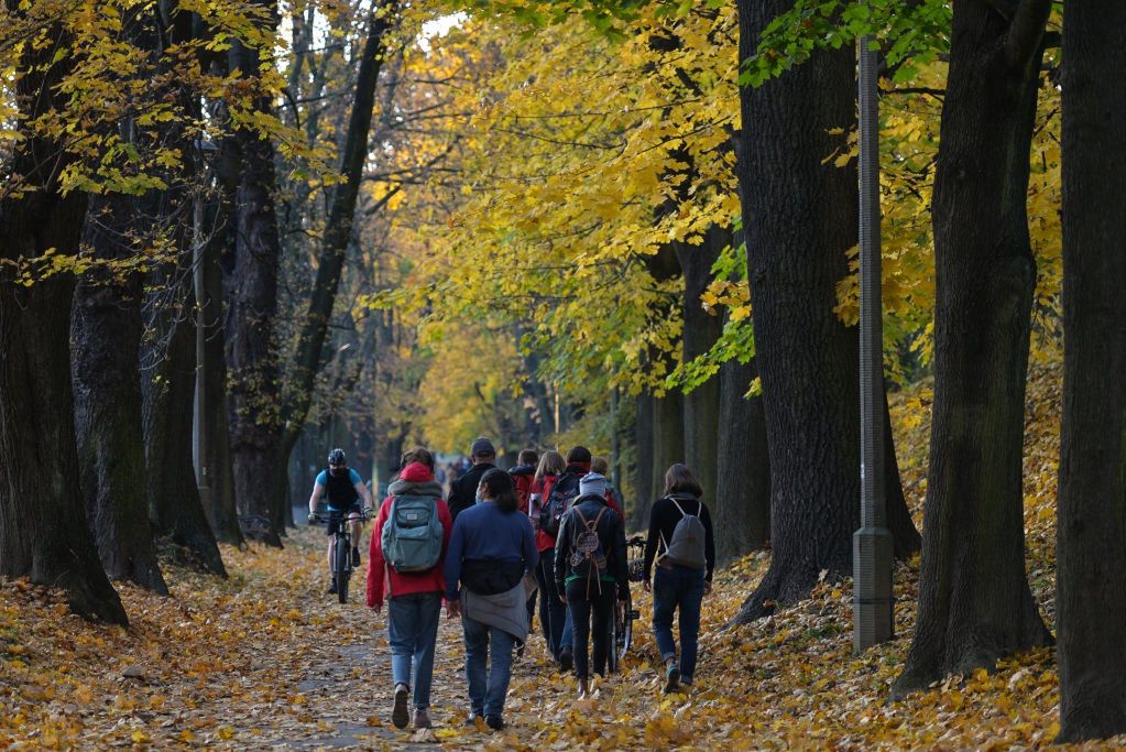 Bon turystyczny 500 plus. Polacy chcą podróżować, ale narzekają na trudności