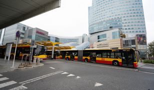 Warszawa. Kierowca miejskiego autobusu pod wpływem amfetaminy. Został zwolniony