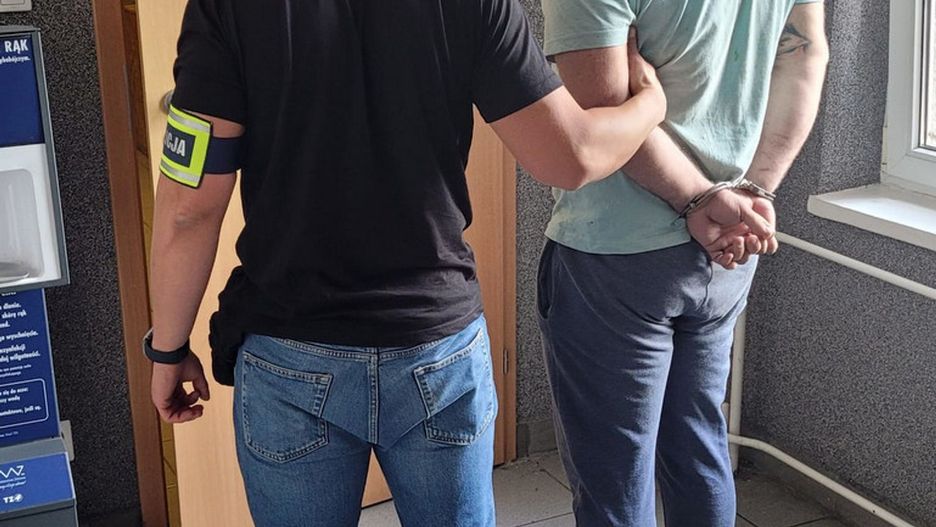 Fot. Licencjodawca