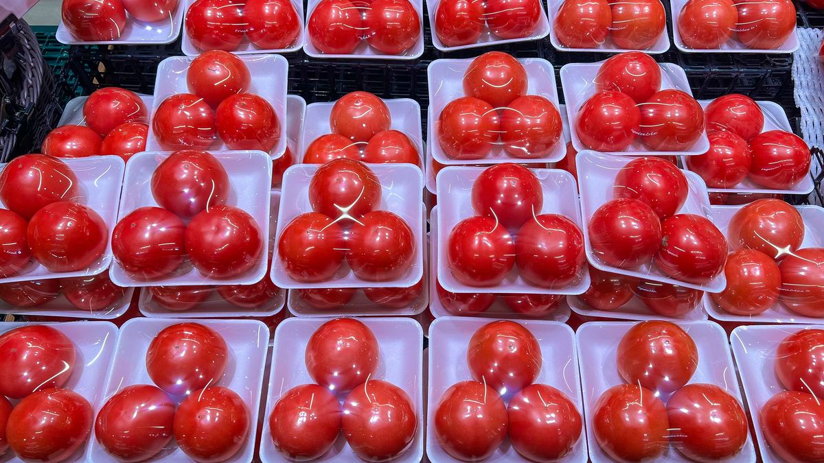 Red tomatoes packaged with plastic trays and stretch film
DigiPub