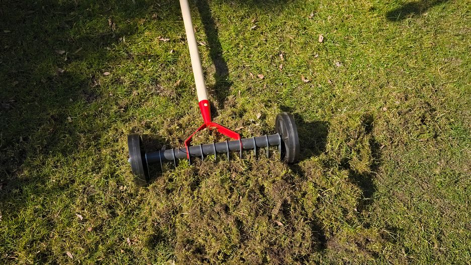 Przygotuj trawnik na zimę. Potem sobie podziękujesz