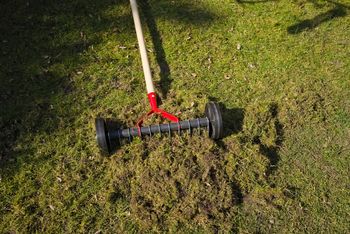 Przygotuj trawnik na zimę. Wiosną ci się odwdzięczy