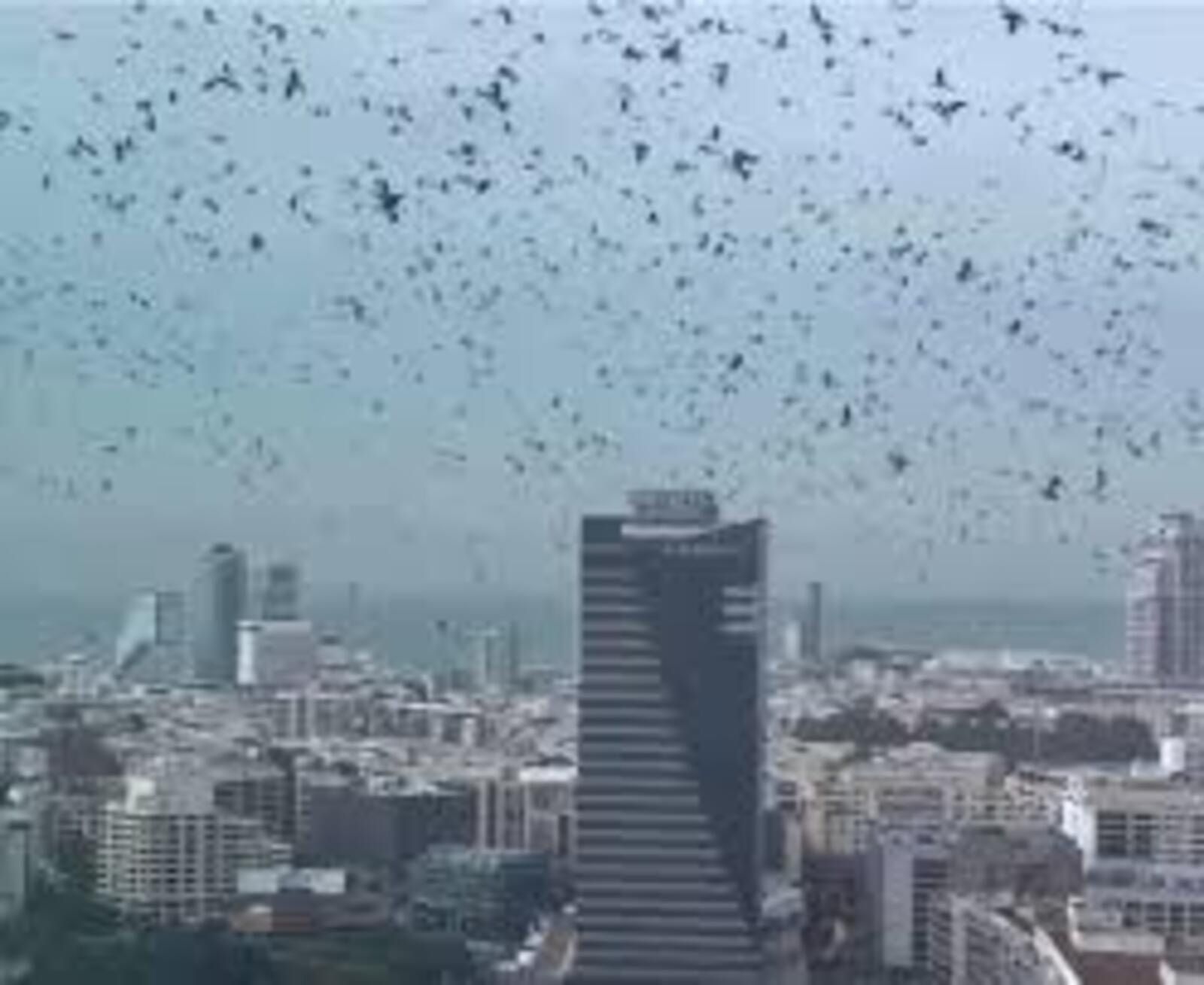 Mówią o złym znaku. "Zwiastun zagłady" nad Tel Awiwem