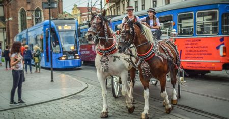 Dorożkarze trafią na listę UNESCO? Obrońcy praw zwierząt protestują