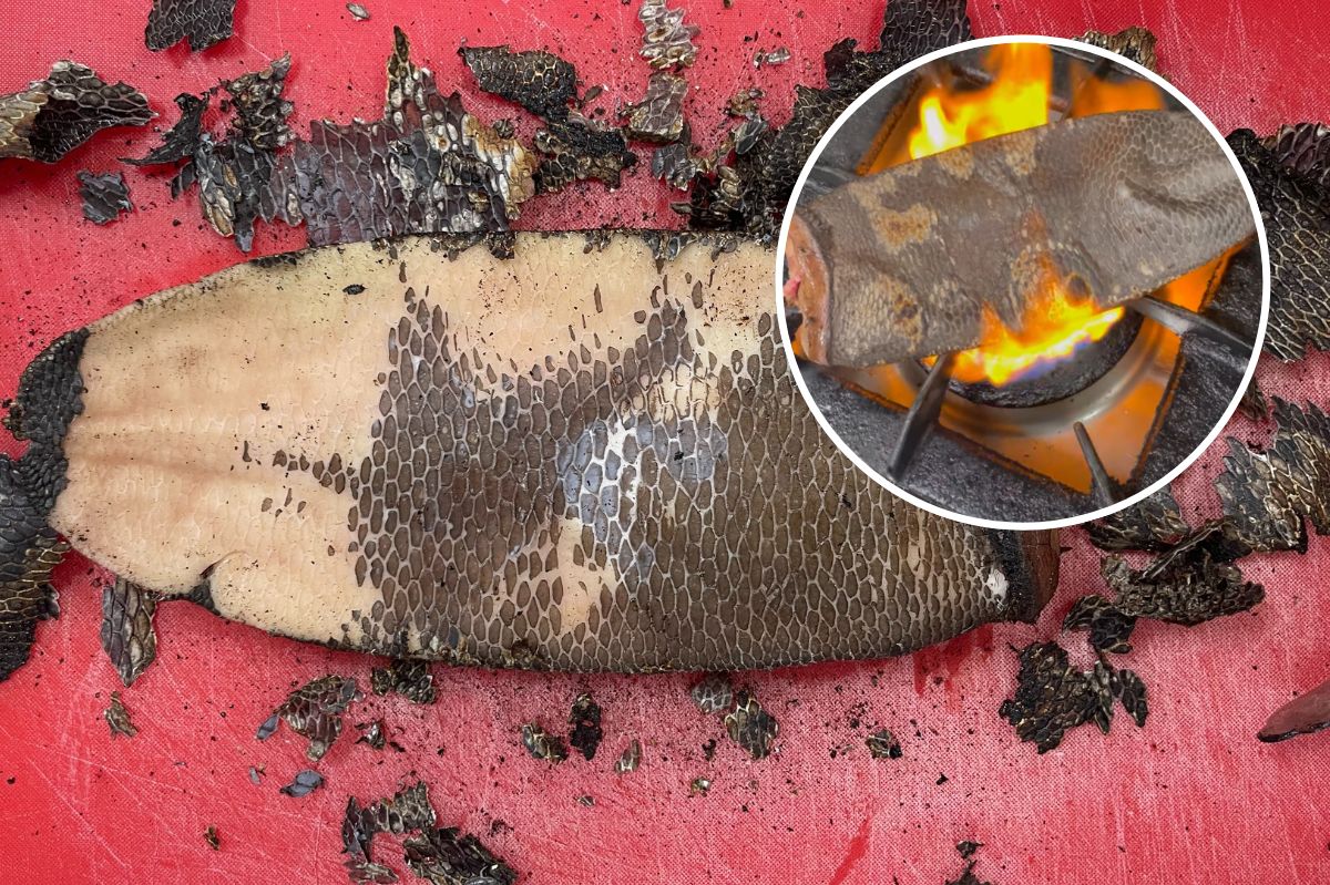 Opalił na ogniu, a potem marynował. Szef kuchni o prawdziwym skarbie dla kucharza