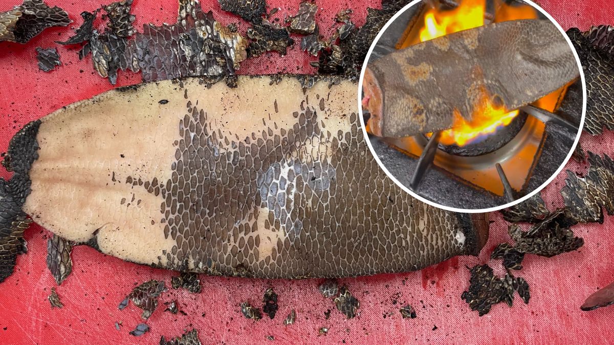 Szef kuchni Paweł Zasławski opowiedział, jak podał ogon bobra