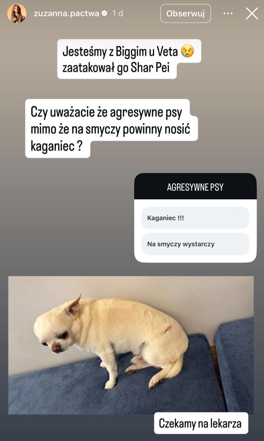 Zuzanna Pactwa miała do czynienia z agresywnym psem