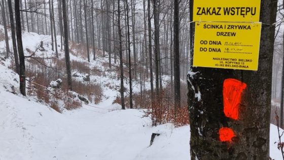 Gdy wybieracie się w góry, patrzcie na znaki 