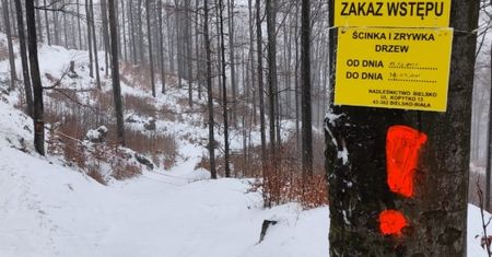 Beskidy. Wyruszacie w trasę? Patrzcie na znaki