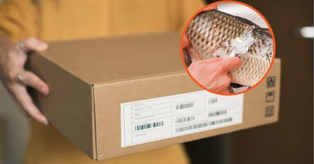 Zaskakująca oferta sprzedaży. "Są umyte i zasypane solą"