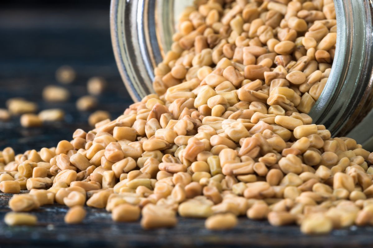 Unlock the secret of fenugreek. A spice cabinet must-have for health