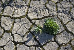 Ekstremalne upały w kwietniu. Termometry w Hiszpanii pokazywały prawie 39 st. C