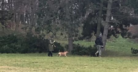 Cały Poznań huczał. Co się wydarzyło w parku? Raper zabrał głos