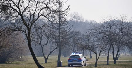 Łódź. Zwłoki kobiety pod górą usypaną z liści