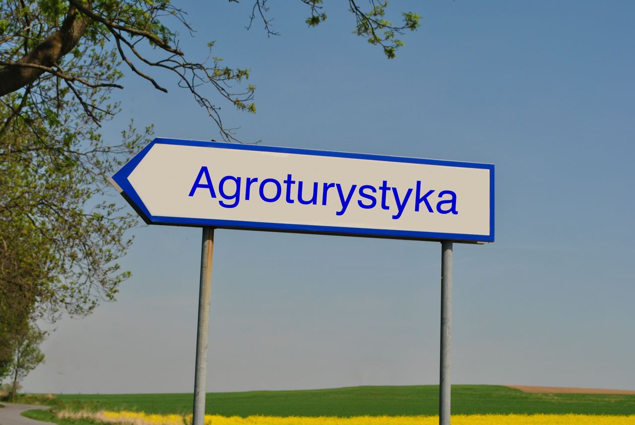 Nowa agroturystyka Leśny Zakątek w Czekaju, w gminie Sędziszów. Relaks, natura i własnoręczne budowle z drewna.