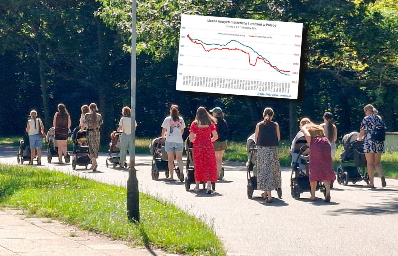 Coś drgnęło w liczbie urodzeń w Polsce. Ale demograficznego cudu nie będzie [ANALIZA]