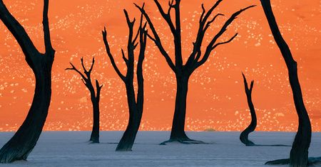 Namibia to jeden z cudów świata. Fotografie Fransa Lantinga sprawiają, że w ten cud jeszcze trudniej uwierzyć