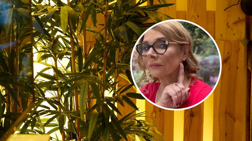 Rośliny doniczkowe mogą nasilać objawy alergii albo prowadzić do zatrucia