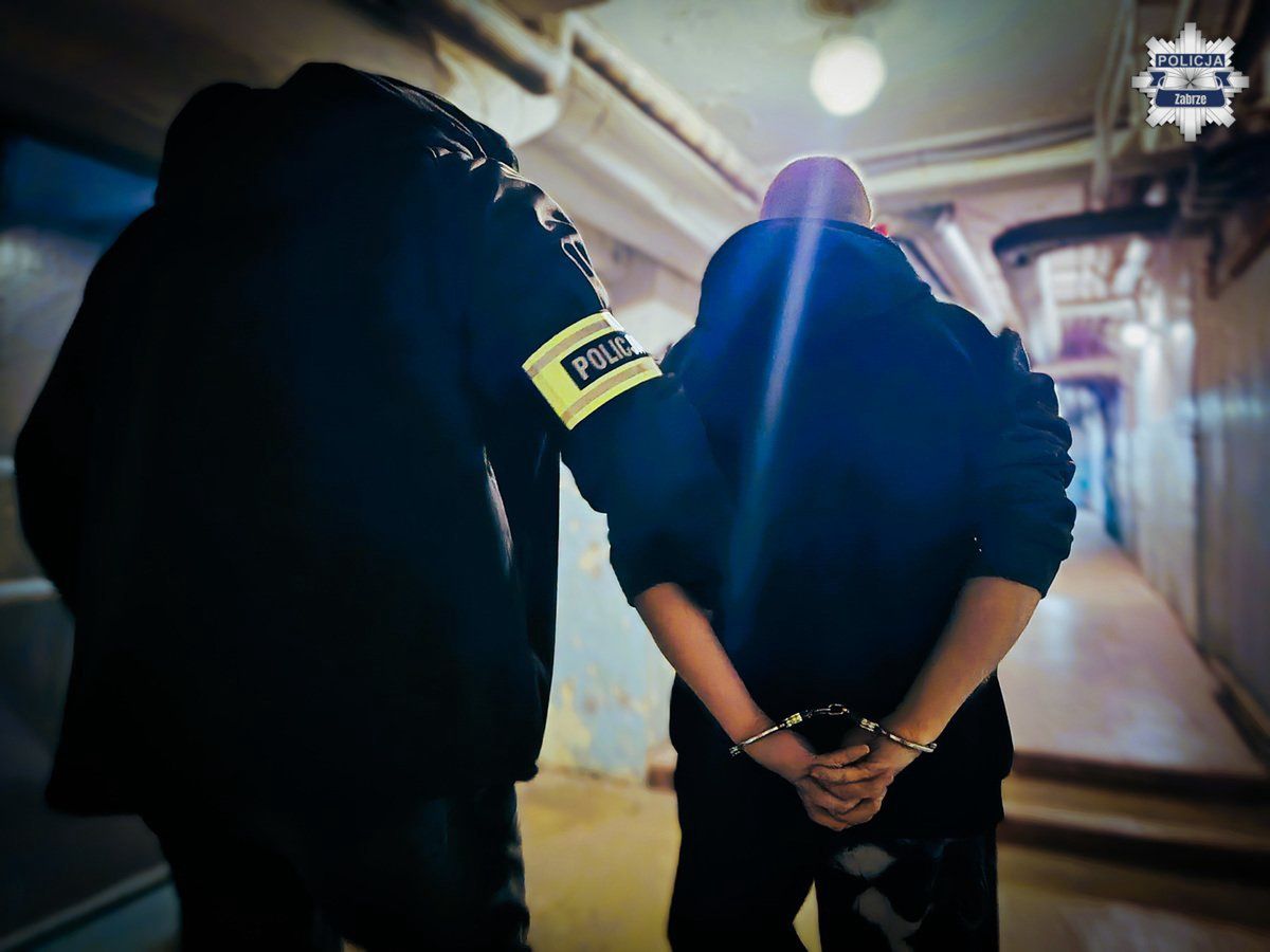 "Randka" za 1000 zł. Wypchnął kobietę z pędzącego auta