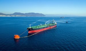 Zdecydowali o historycznym uwolnieniu ropy z rezerw. Mówią, kiedy trafi na rynki