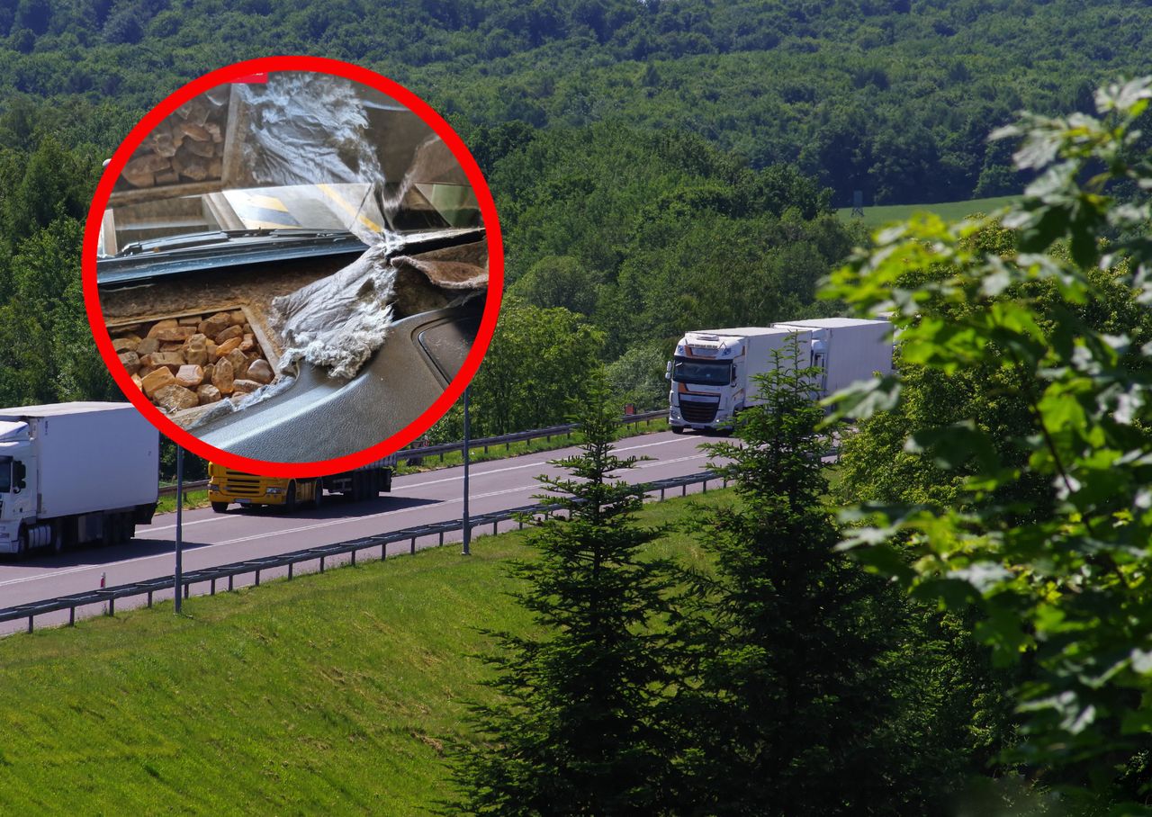 Celnicy byli w szoku. "Wartość rynkowa to ok. 870 tys. zł"