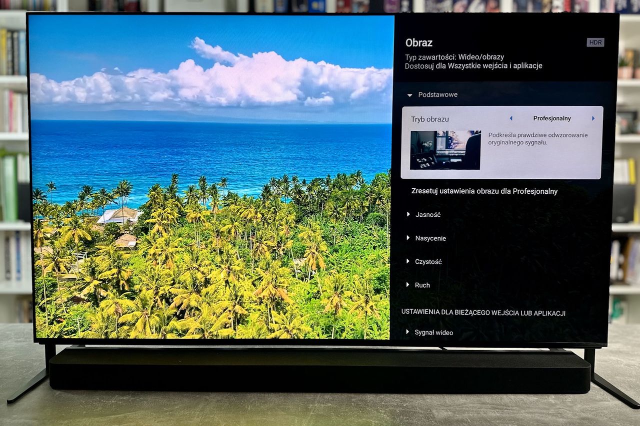 Sony Bravia 9 (65XR90) - ustawienia obrazu