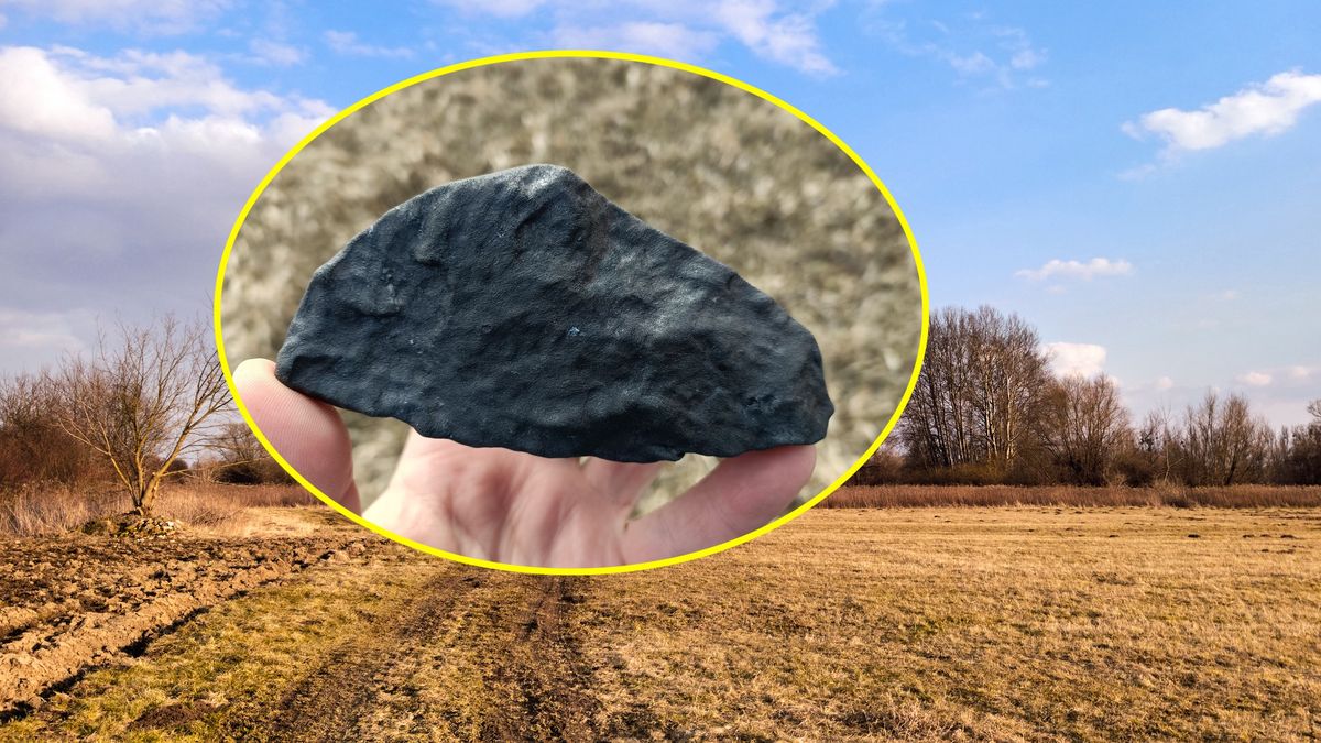 Meteoryty znaleziono w okolicach Drelowa 